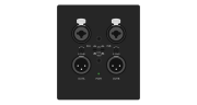 ������������ � ����� ������ 2x2 � Dante Prestel ADPX-W22XLR