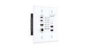���������� ��������� TX-HDMI 4K60 � Type-C � ����� �� IP Prestel IPN-4KJ2000PTX-W